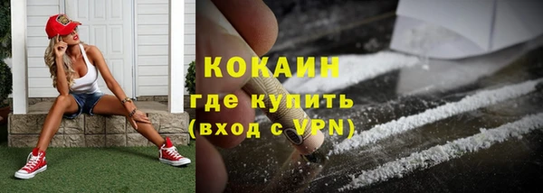 твердый Михайлов