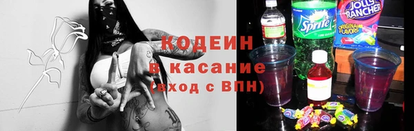 твердый Михайлов