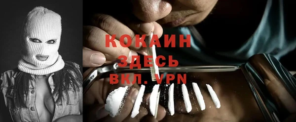 твердый Михайлов