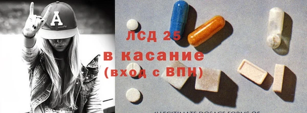 твердый Михайлов